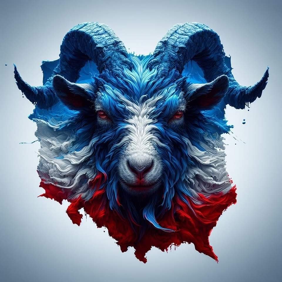 Ewa Polak – profile photo