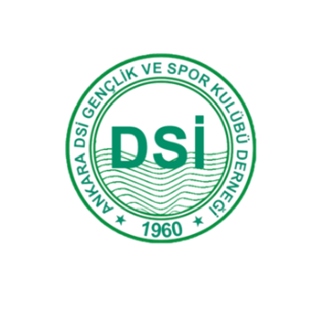 Ankara DSİ Spor