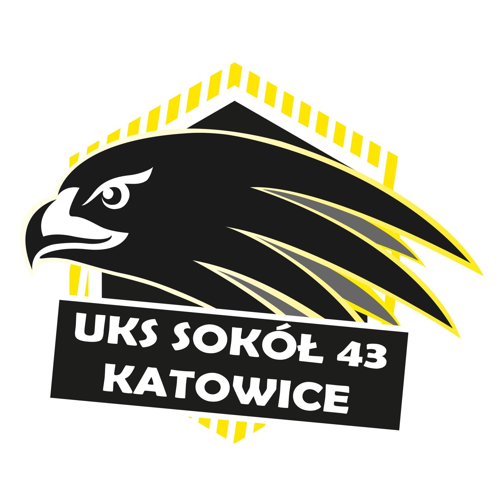 SOKÓŁ AZS AWF KATOWICE
