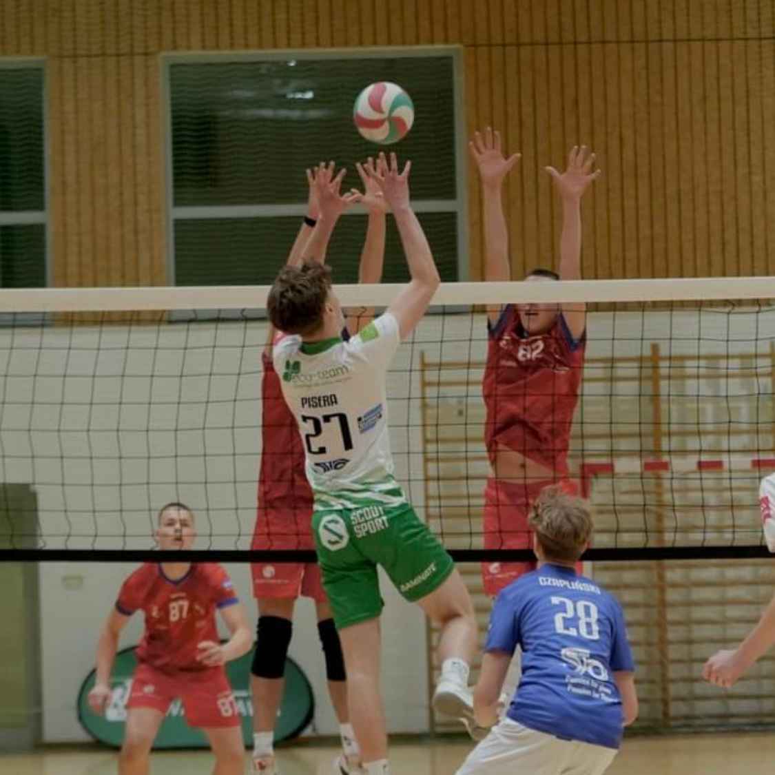 Dawid Pisera – profile photo