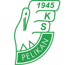 PELIKAN ŁOWICZ