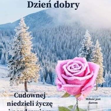 Katarzyna kr - Profilbild