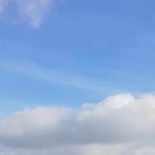 Wiktor S - Profilbild