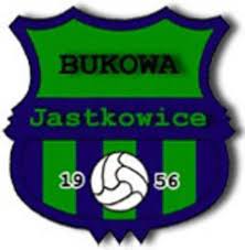 BUKOWA JASTKOWICE