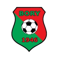 LKS BORY PIETRZYKOWICE