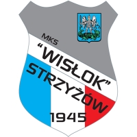 WISŁOK STRZYŻÓW 